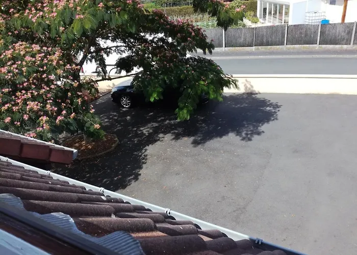 Rose Blanche Le Lude